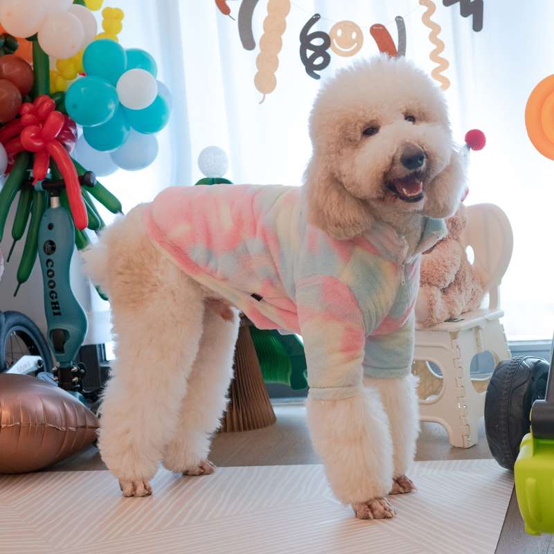  もこもこパーカー大型犬用ルームウェア