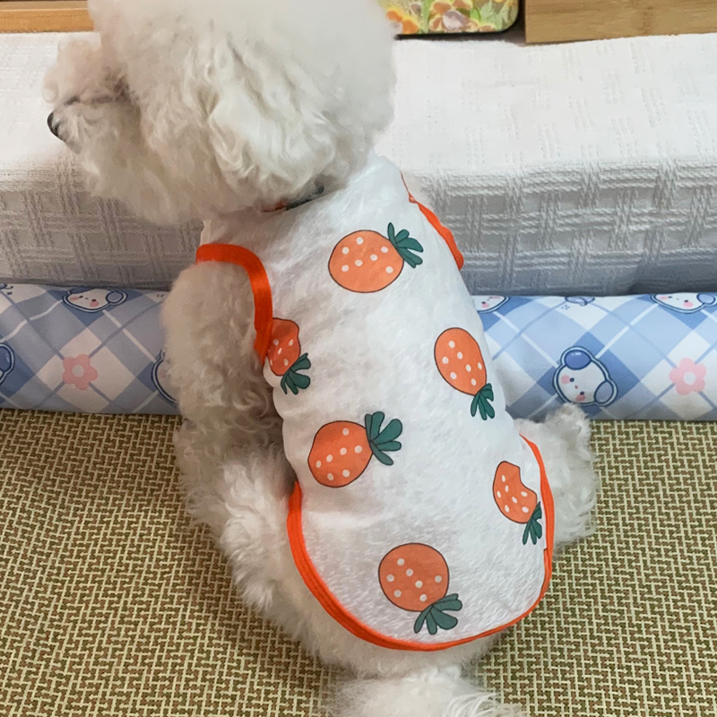 犬服 夏果実さわやかノースリーブ