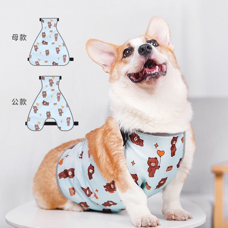 https://fulmo-img-server.com/perry-dog/12323bda-6194-4015-965c-c0fba98a7acc.jpg