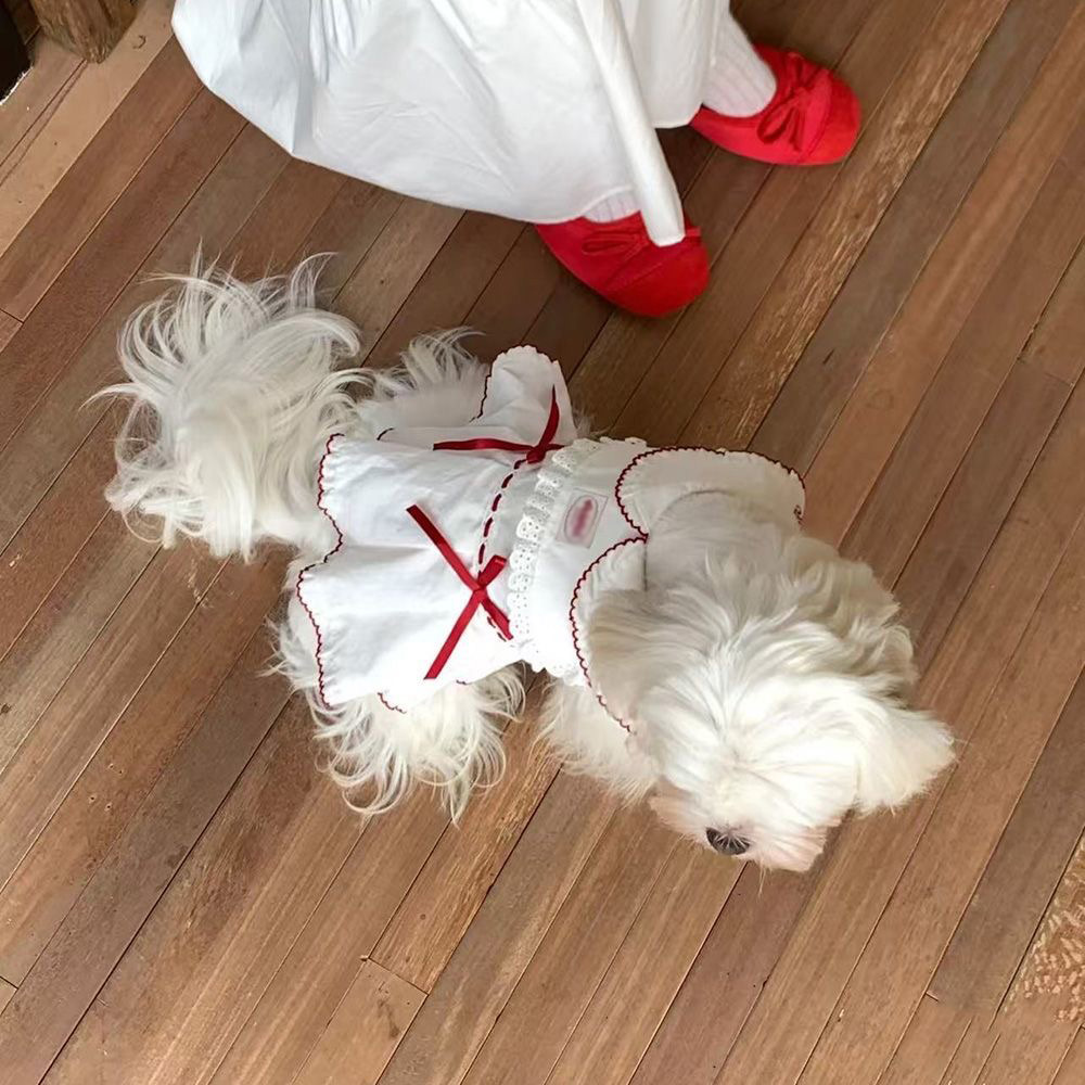 犬服 お嬢様風レース襟ワンピース