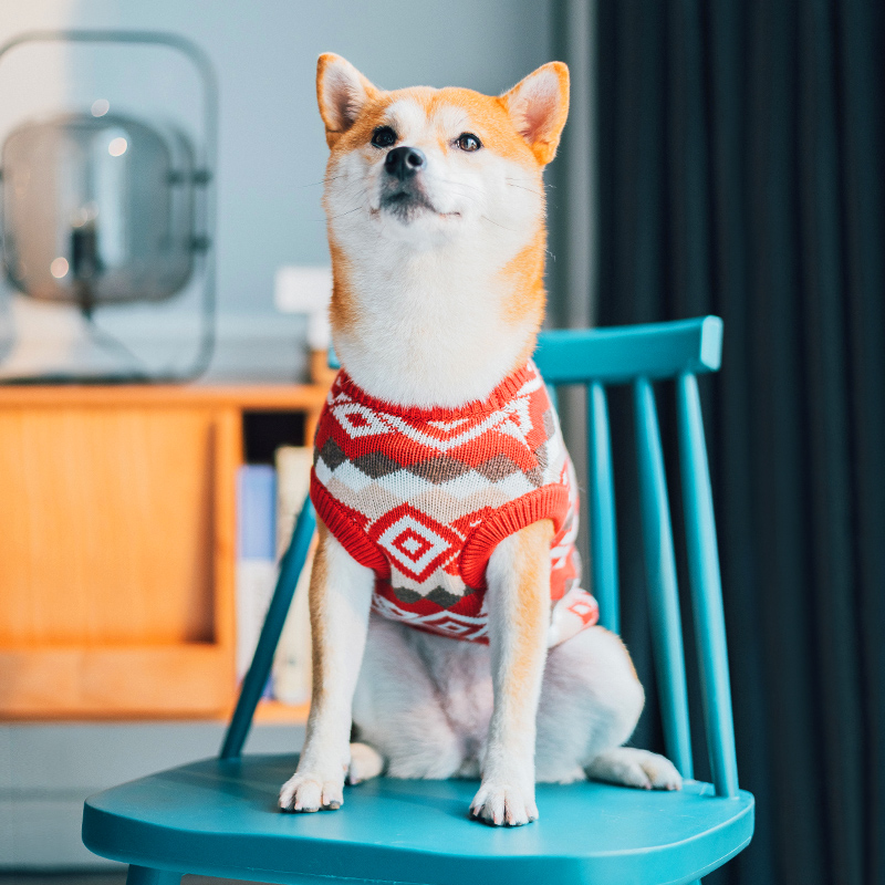 犬服 北欧風幾何学模様のあたたかニットセーター