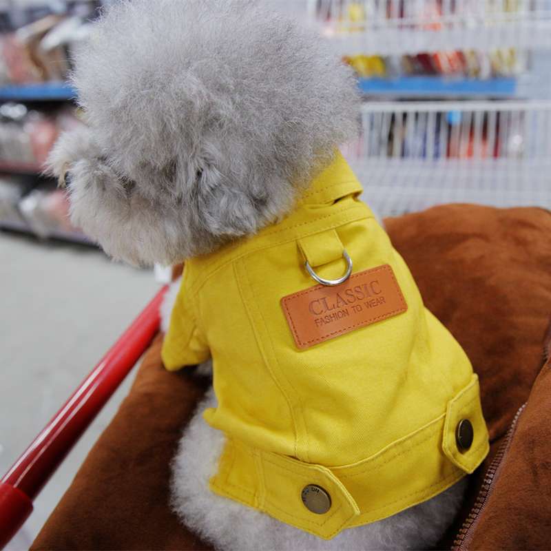 犬服 おしゃれウォーカー犬用ジャケット