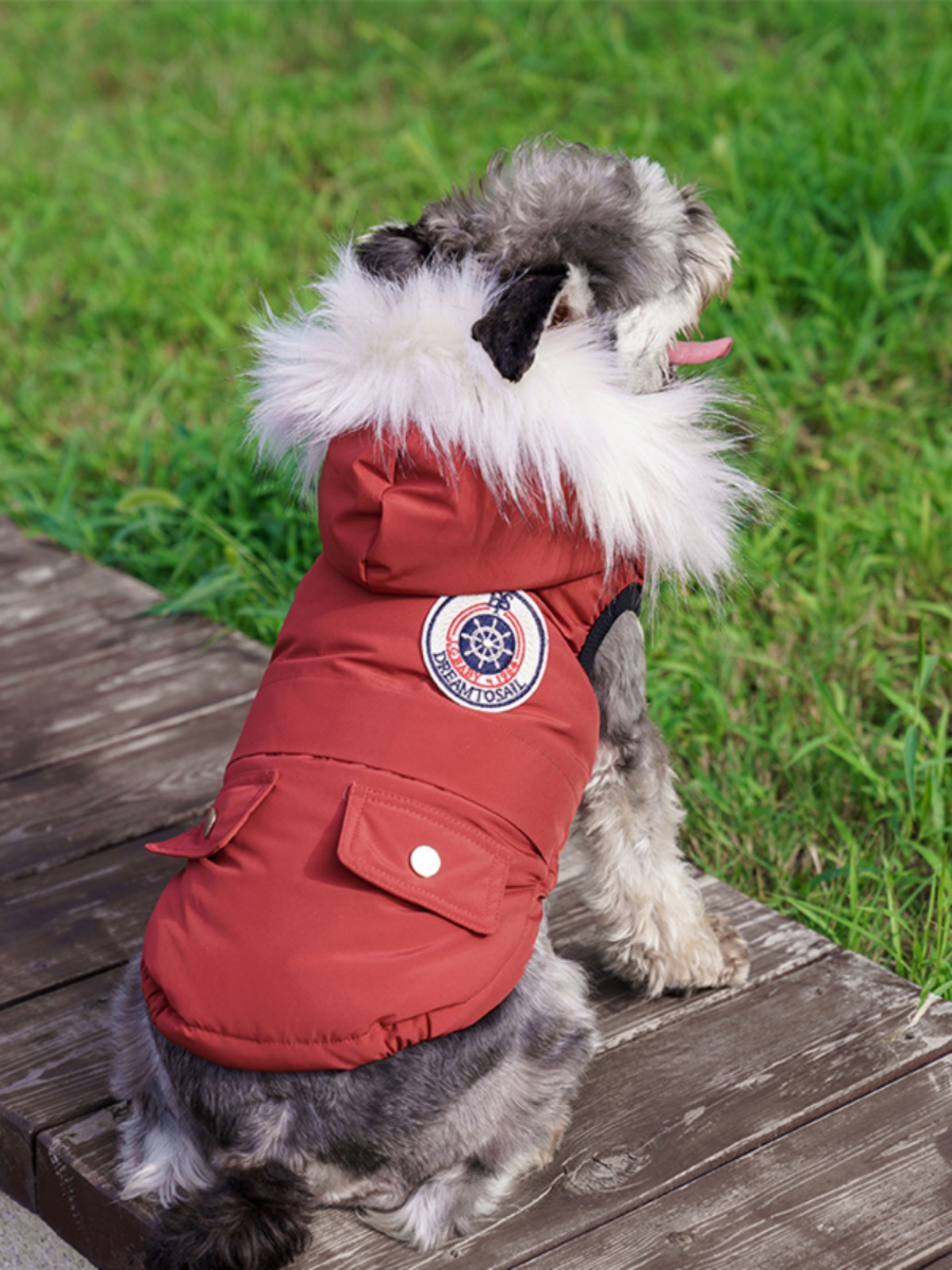 犬服 ふわもこ帆船ダウンジャケット