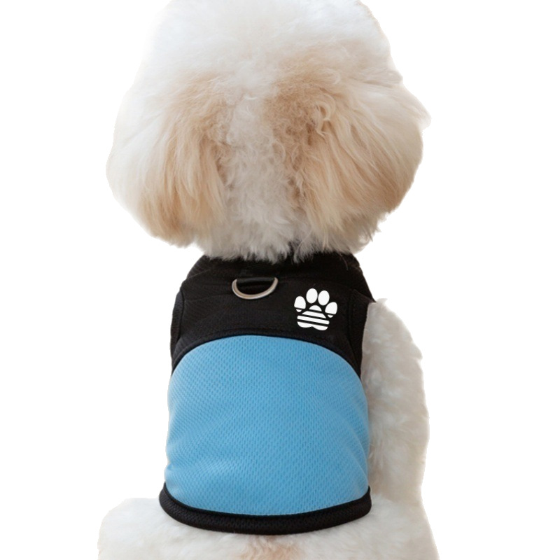 https://fulmo-img-server.com/perry-dog/16290c3d-301f-4343-8d13-f6231cdf7abe.jpg