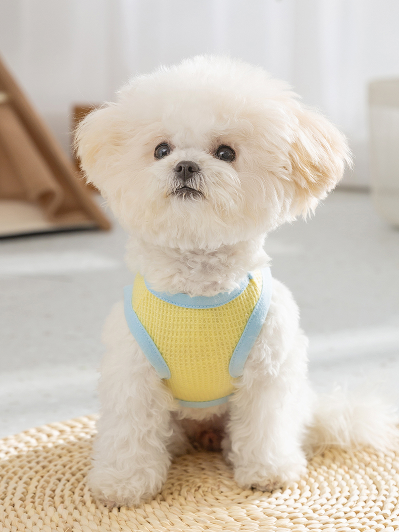 犬服 もこもこポケット付きトレーナー