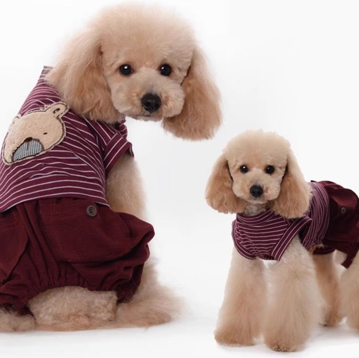 犬服 くまさんボーダーパジャマ