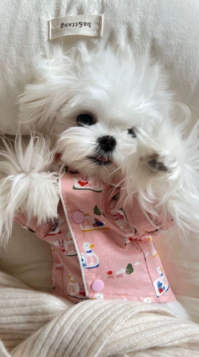 犬服 おやすみ動物園パジャマシャツ