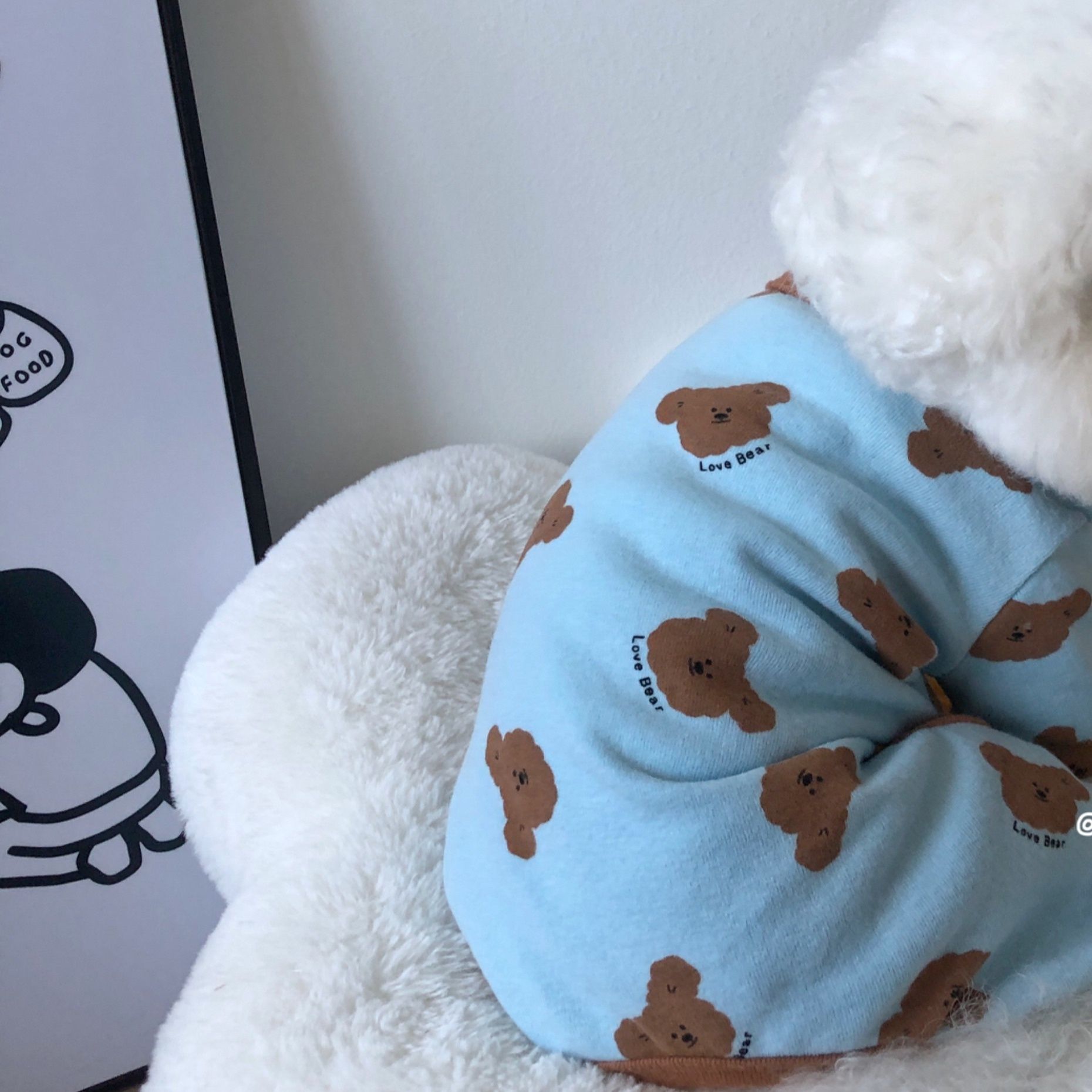 犬服 くまさんといっしょパジャマ
