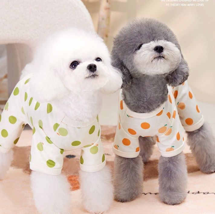 犬服 まるまる水玉ルームウェア