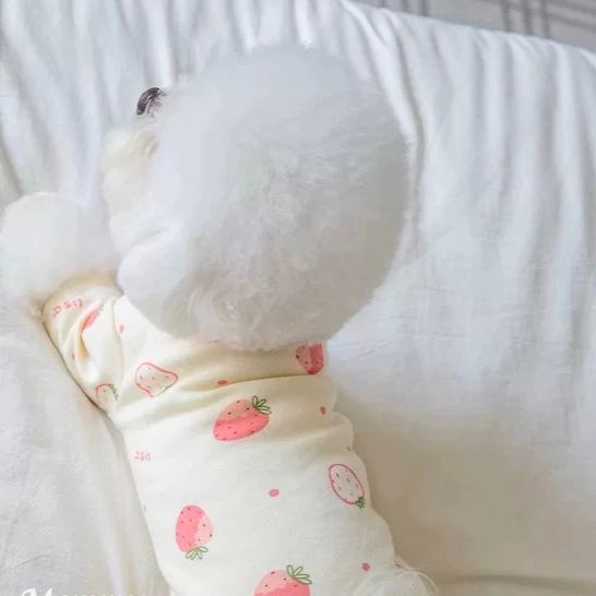 犬服 にこにこ夢見るおやすみパジャマ