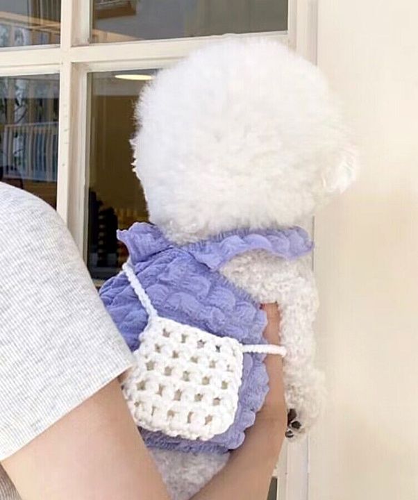 犬服 ふんわりフリルティアラ