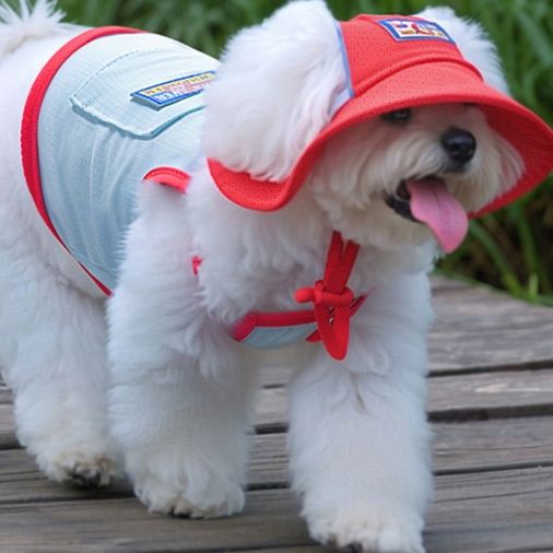 犬服 ひんやり冷感タンクトップ