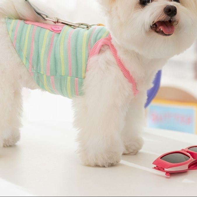犬服 うさぎポケットストライプタンクトップ