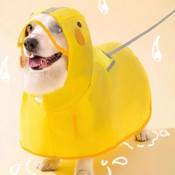 犬服 おしゃれ全身防水お散歩レインコート