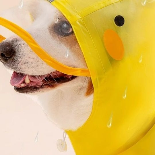 犬服 おしゃれ全身防水お散歩レインコート