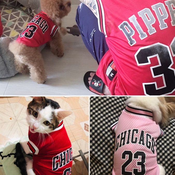 犬服 スポーティ夏風クールベスト