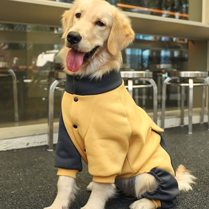 https://fulmo-img-server.com/perry-dog/1750755563766_7jmwxu2l_a8m20983.jpeg