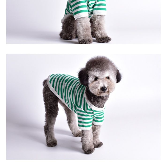 https://fulmo-img-server.com/perry-dog/1750755797964_yk99y6j9_fm0gr94h.jpeg