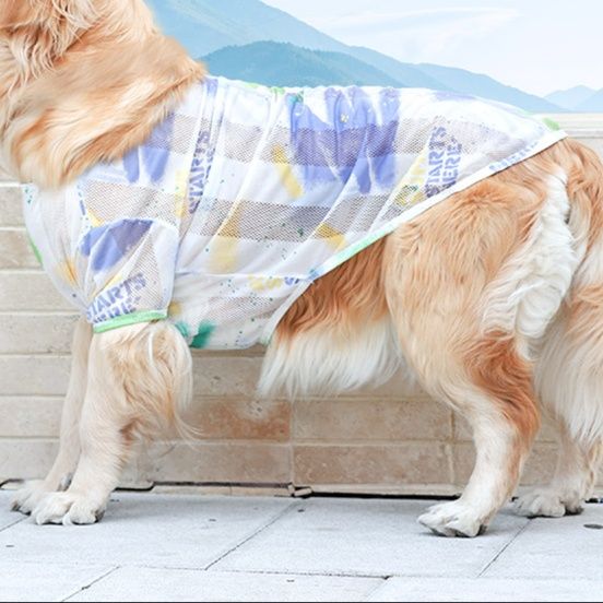 https://fulmo-img-server.com/perry-dog/1750755933653_zgvp0jvs_1lpatpwt.jpeg