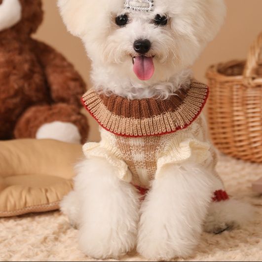 https://fulmo-img-server.com/perry-dog/1750756212259_moavxz9v_c7nodwiy.jpeg