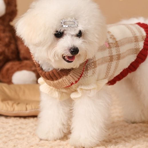 https://fulmo-img-server.com/perry-dog/1750756221681_9h6qacdl_5xoja7bs.jpeg