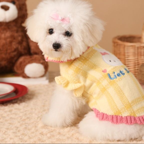 https://fulmo-img-server.com/perry-dog/1750756231571_oihti1zr_9waaq3of.jpeg