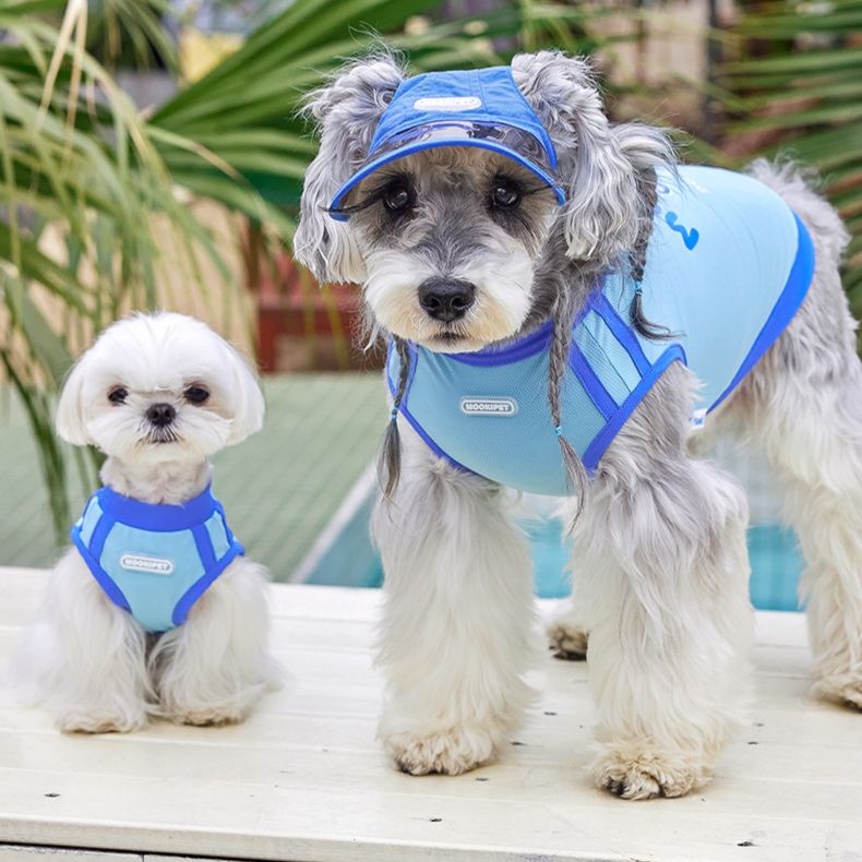 犬服 さわやか夏日和ベスト