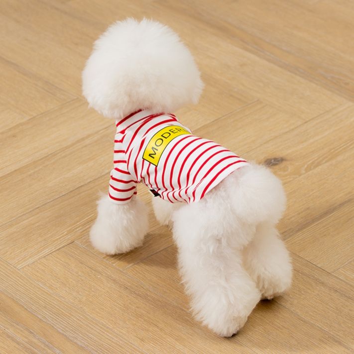 犬服 爽やかマリン涼感ウェア