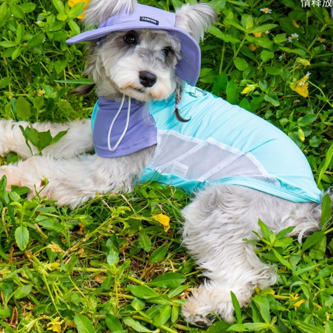 犬服 さわやか夏物語 メッシュ涼感ウェア