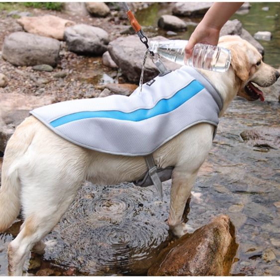 犬服 ひんやり涼感アウトドアベスト