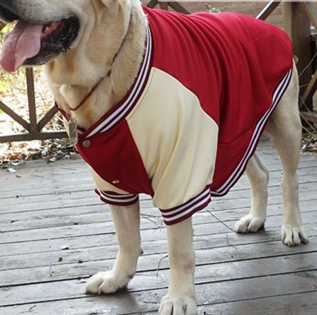 犬服 スポーティースタジアムジャケット