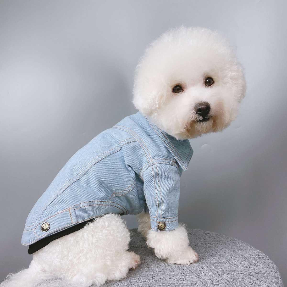 デニム生地の犬服10選