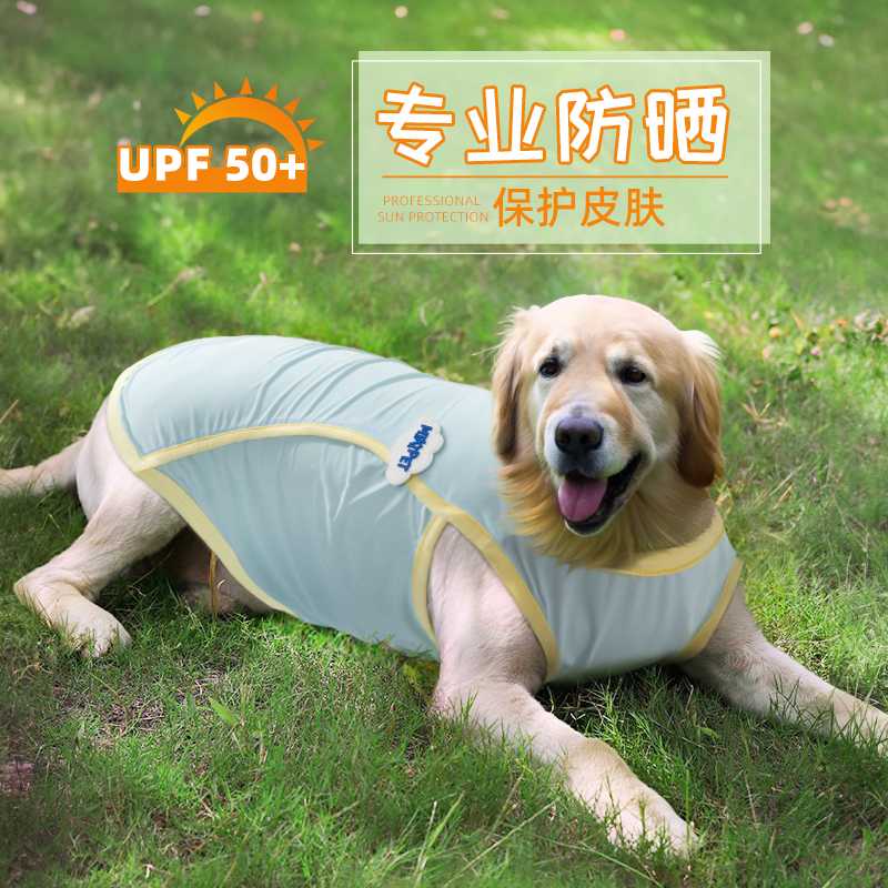 犬の皮膚を夏の刺激から守る！快適に過ごせる保護服おすすめ5選