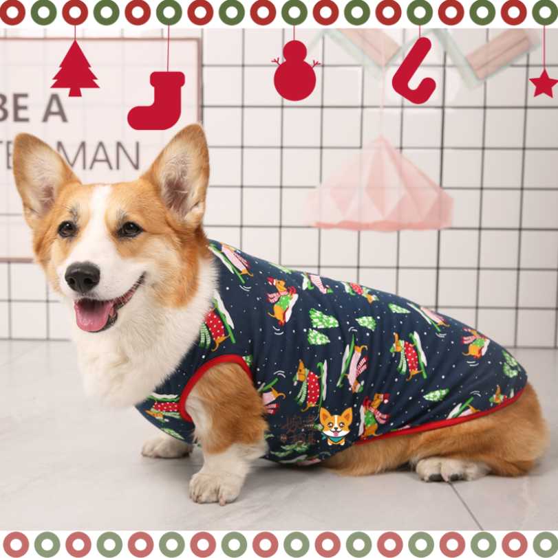 愛犬と過ごすクリスマスが特別になる！可愛い犬クリスマス衣装おすすめ5選
