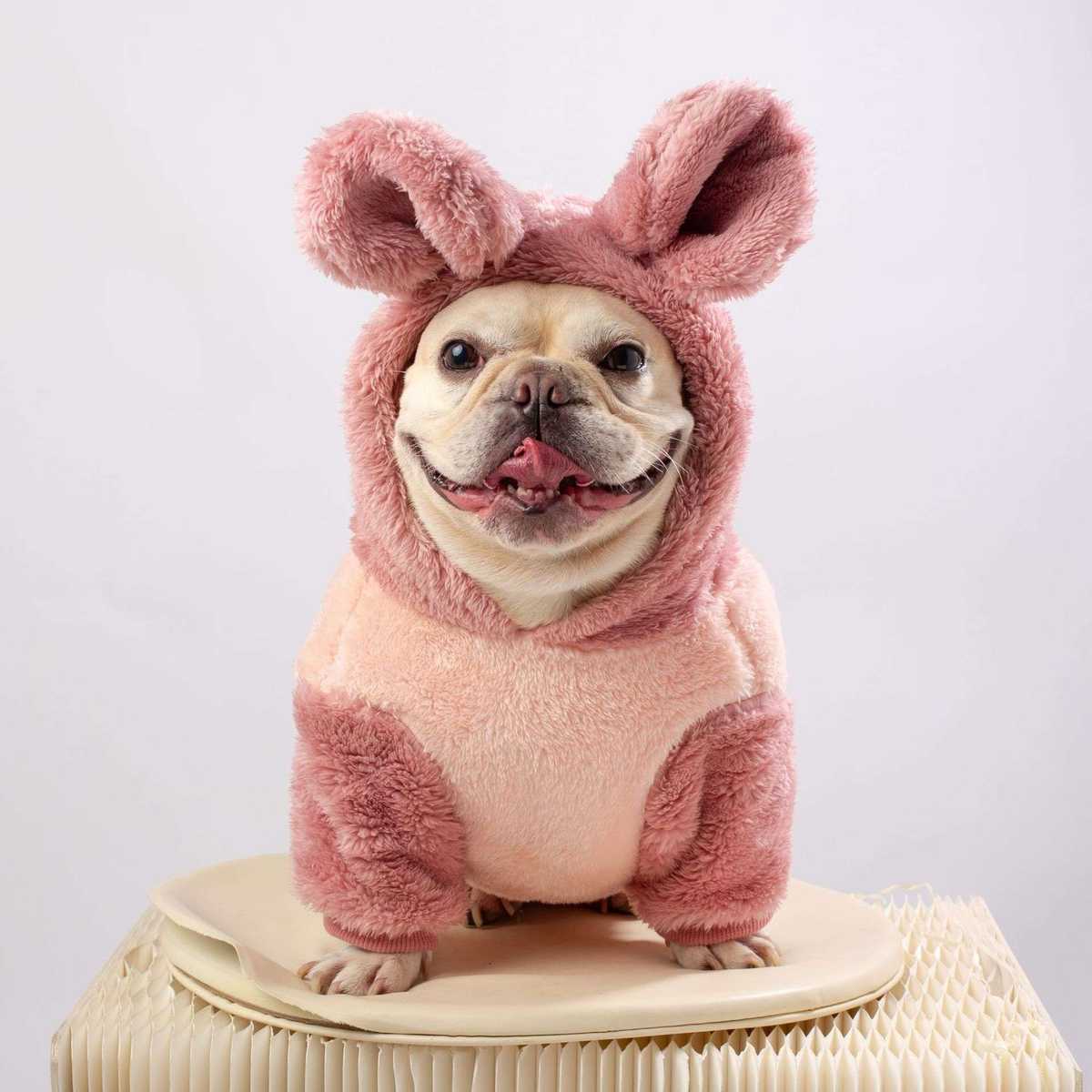 犬服 もこもこニット チェック柄 犬用セーター