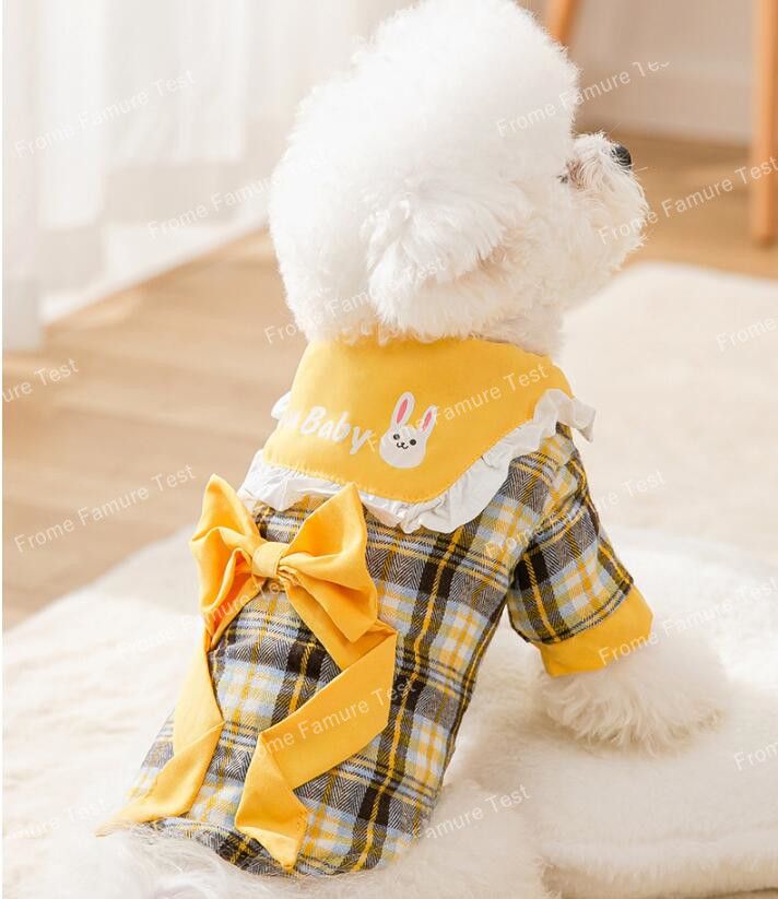 https://fulmo-img-server.com/perry-dog/1759848861270_lofrpevo_cmbznigt.jpeg