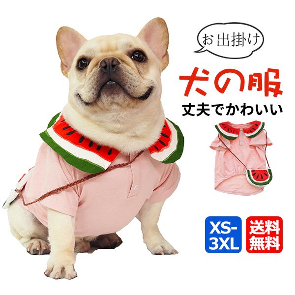 https://fulmo-img-server.com/perry-dog/1759849009915_3ofv24wn_26wymj3h.jpeg
