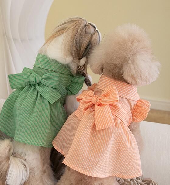 https://fulmo-img-server.com/perry-dog/1759849709072_77bxi5yc_4rwjukcx.jpeg