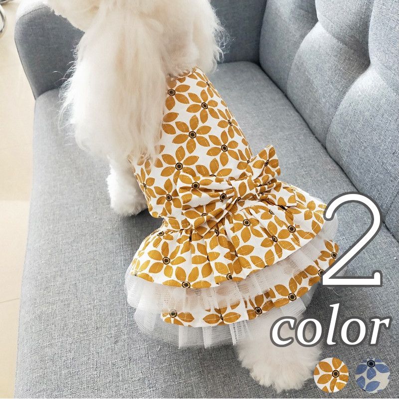 https://fulmo-img-server.com/perry-dog/1759850867055_5e7p4zlb_sx5vf07e.jpeg