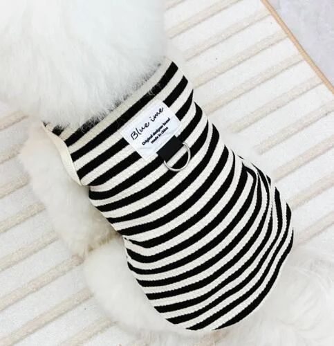 https://fulmo-img-server.com/perry-dog/1759850932136_4vtct87j_cfy3x3xn.jpeg