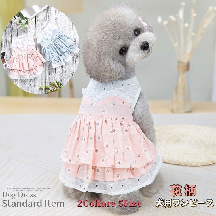 https://fulmo-img-server.com/perry-dog/1759851315527_jgz8sf69_bfyztbpq.jpeg