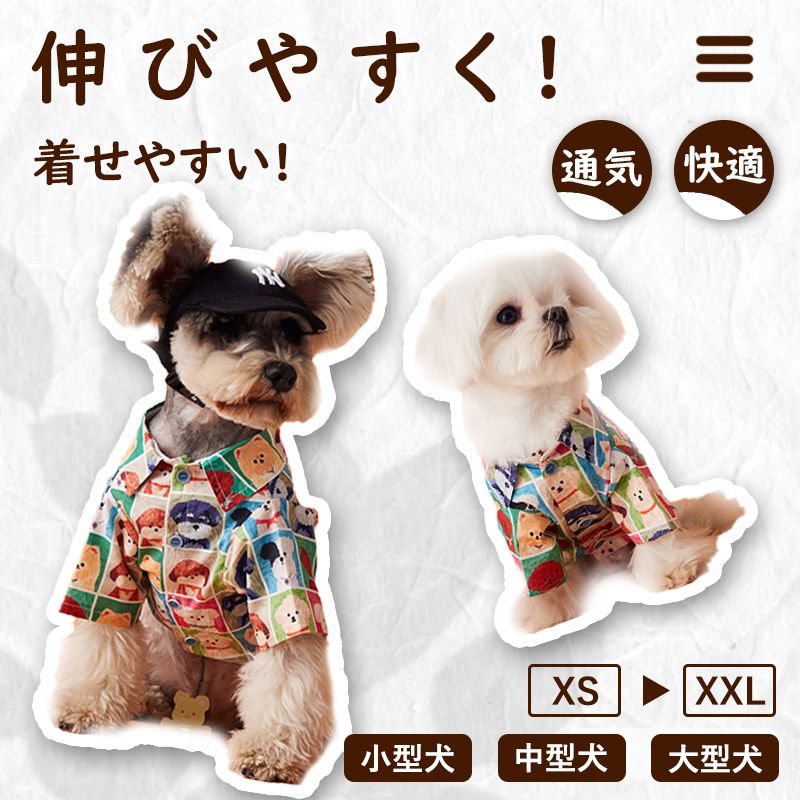 https://fulmo-img-server.com/perry-dog/1759852070186_os5bb46i_2ksnljna.jpeg