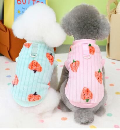 https://fulmo-img-server.com/perry-dog/1759852615716_64y33s06_e7rxkx0x.jpeg