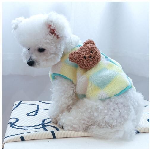 https://fulmo-img-server.com/perry-dog/1759852758724_cy5a3uyr_avfzix9p.jpeg
