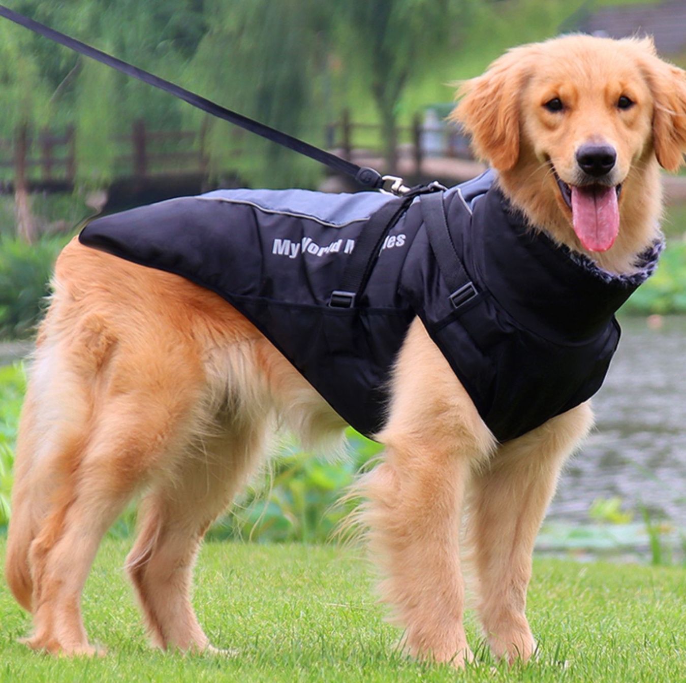 反射テープ付き防水機能ベストタイプ犬服