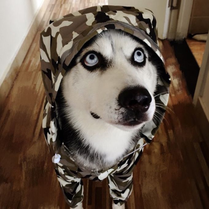 犬服 反射テープ付き四足フルカバー防水レインコート