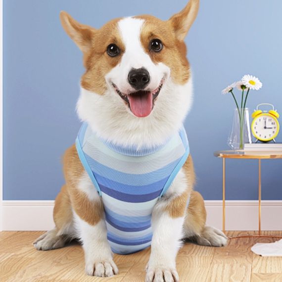 犬服 爽やか横縞模様ひんやり冷感犬用涼感着