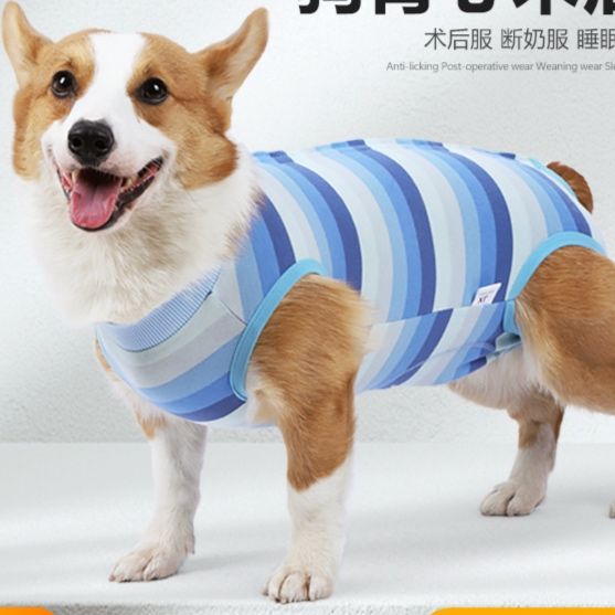 犬服 爽やか横縞模様ひんやり冷感犬用涼感着