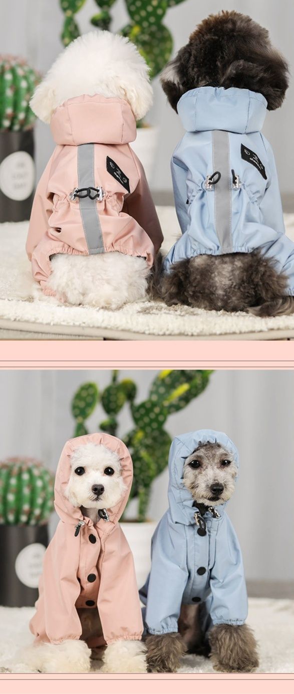 https://fulmo-img-server.com/perry-dog/1783471979185_dk2e7sfc_uksjpvka.jpeg