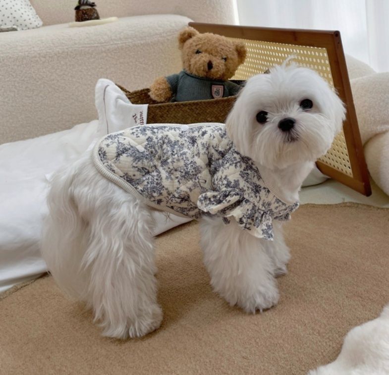 https://fulmo-img-server.com/perry-dog/1785372234153_uf5j4294_wl73tvis.jpeg